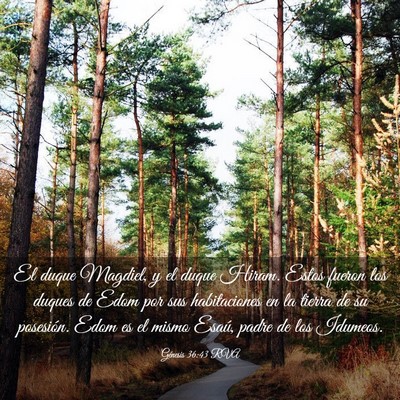 Picture 03 - Génesis 36:43 RVA - El duque Magdiel, y el duque Hiram. Estos fueron - Bible Verse Picture