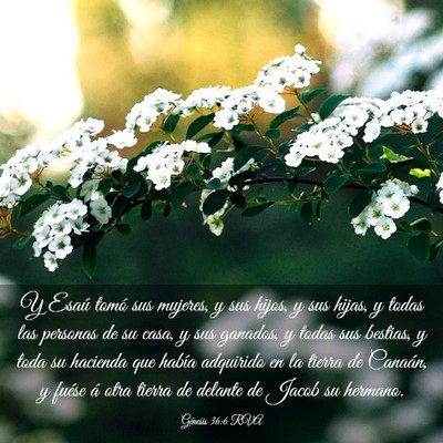 Picture 03 - Génesis 36:6 RVA - Y Esaú tomó sus mujeres, y sus hijos, y sus - Bible Verse Picture