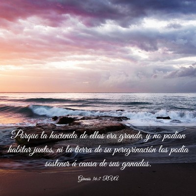 Picture 03 - Génesis 36:7 RVA - Porque la hacienda de ellos era grande, y no - Bible Verse Picture