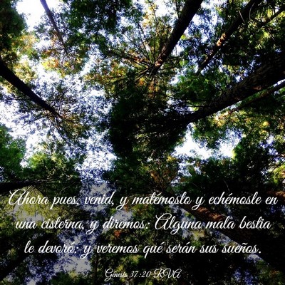 Picture 03 - Génesis 37:20 RVA - Ahora pues, venid, y matémoslo y echémosle en - Bible Verse Picture