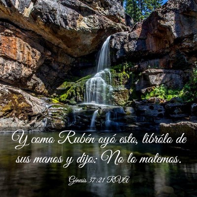 Picture 03 - Génesis 37:21 RVA - Y como Rubén oyó esto, librólo de sus manos y - Bible Verse Picture