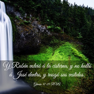 Picture 03 - Génesis 37:29 RVA - Y Rubén volvió á la cisterna, y no halló á - Bible Verse Picture