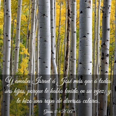 Picture 03 - Génesis 37:3 RVA - Y amaba Israel á José más que á todos sus - Bible Verse Picture