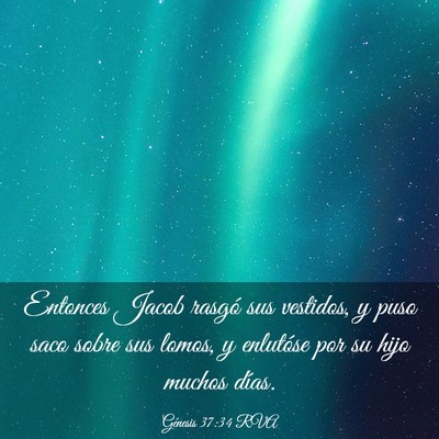 Picture 03 - Génesis 37:34 RVA - Entonces Jacob rasgó sus vestidos, y puso saco - Bible Verse Picture