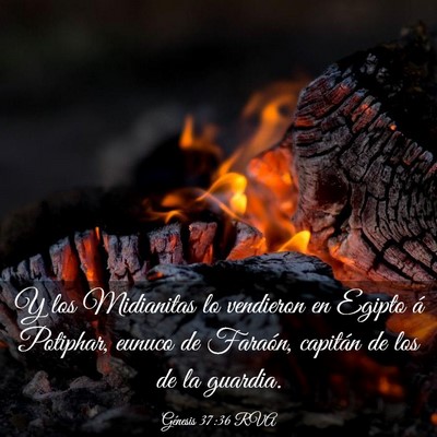 Picture 03 - Génesis 37:36 RVA - Y los Midianitas lo vendieron en Egipto á - Bible Verse Picture