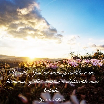 Picture 03 - Génesis 37:5 RVA - Y soñó José un sueño y contólo á sus - Bible Verse Picture