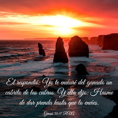 Picture 03 - Génesis 38:17 RVA - El respondió: Yo te enviaré del ganado un - Bible Verse Picture