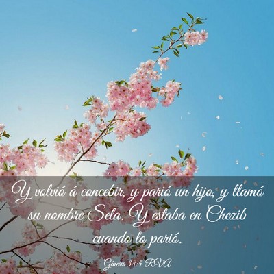 Picture 03 - Génesis 38:5 RVA - Y volvió á concebir, y parió un hijo, y llamó - Bible Verse Picture