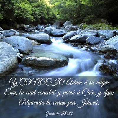 Picture 03 - Génesis 4:1 RVA - Y CONOCIO Adam á su mujer Eva, la cual concibió - Bible Verse Picture