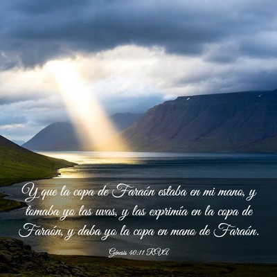 Picture 03 - Génesis 40:11 RVA - Y que la copa de Faraón estaba en mi mano, y - Bible Verse Picture