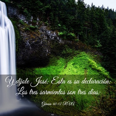 Picture 03 - Génesis 40:12 RVA - Y díjole José: Esta es su declaración: Los - Bible Verse Picture