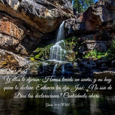 Picture 03 - Génesis 40:8 RVA - Y ellos le dijeron: Hemos tenido un sueño, y no - Bible Verse Picture