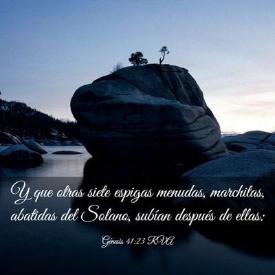 Picture 03 - Génesis 41:23 RVA - Y que otras siete espigas menudas, marchitas, - Bible Verse Picture