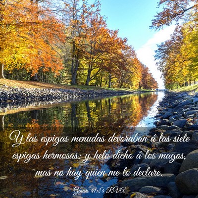 Picture 03 - Génesis 41:24 RVA - Y las espigas menudas devoraban á las siete - Bible Verse Picture