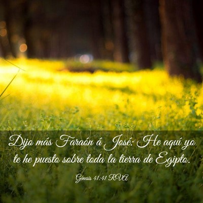 Picture 03 - Génesis 41:41 RVA - Dijo más Faraón á José: He aquí yo te he - Bible Verse Picture