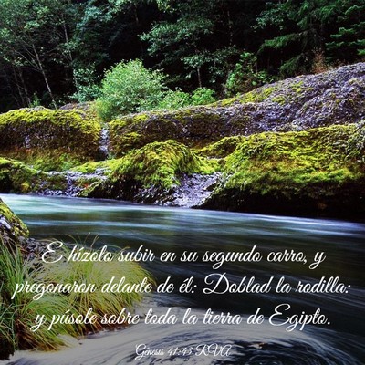 Picture 03 - Génesis 41:43 RVA - E hízolo subir en su segundo carro, y pregonaron - Bible Verse Picture