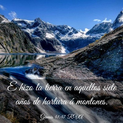 Picture 03 - Génesis 41:47 RVA - E hizo la tierra en aquellos siete años de - Bible Verse Picture