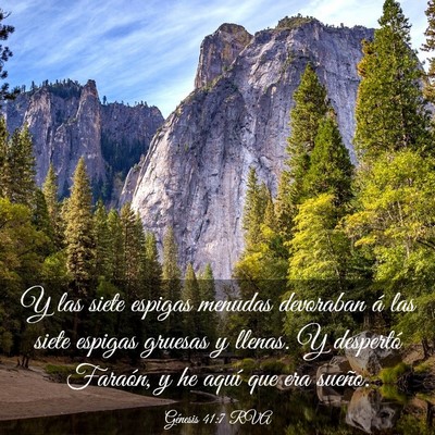 Picture 03 - Génesis 41:7 RVA - Y las siete espigas menudas devoraban á las - Bible Verse Picture
