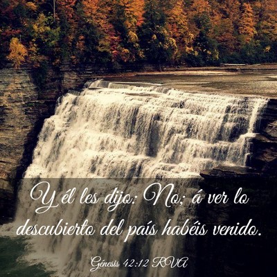 Picture 03 - Génesis 42:12 RVA - Y él les dijo: No; á ver lo descubierto del - Bible Verse Picture