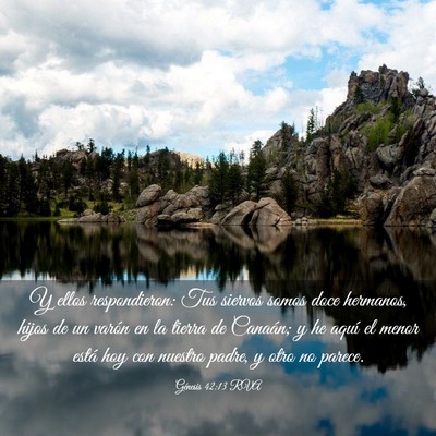 Picture 03 - Génesis 42:13 RVA - Y ellos respondieron: Tus siervos somos doce - Bible Verse Picture