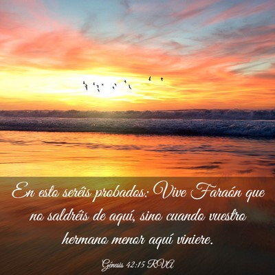 Picture 03 - Génesis 42:15 RVA - En esto seréis probados: Vive Faraón que no - Bible Verse Picture