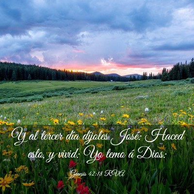 Picture 03 - Génesis 42:18 RVA - Y al tercer día díjoles José: Haced esto, y - Bible Verse Picture