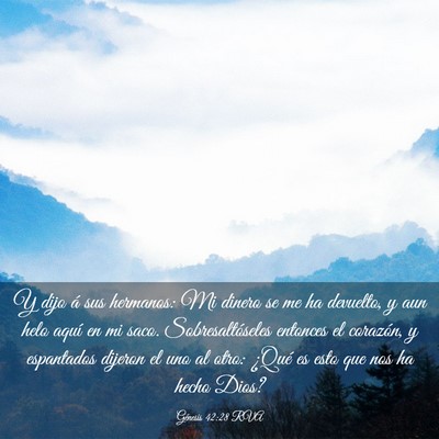 Picture 03 - Génesis 42:28 RVA - Y dijo á sus hermanos: Mi dinero se me ha - Bible Verse Picture