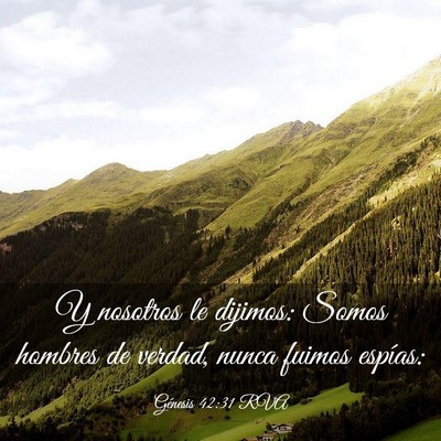 Picture 03 - Génesis 42:31 RVA - Y nosotros le dijimos: Somos hombres de verdad, - Bible Verse Picture
