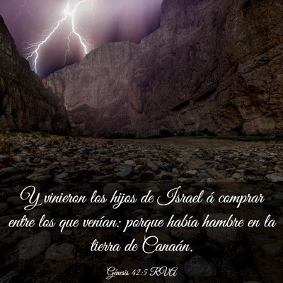 Picture 03 - Génesis 42:5 RVA - Y vinieron los hijos de Israel á comprar entre - Bible Verse Picture