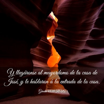 Picture 03 - Génesis 43:19 RVA - Y llegáronse al mayordomo de la casa de José, y - Bible Verse Picture