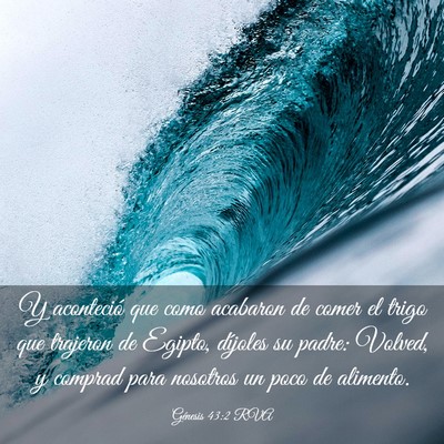 Picture 03 - Génesis 43:2 RVA - Y aconteció que como acabaron de comer el trigo - Bible Verse Picture