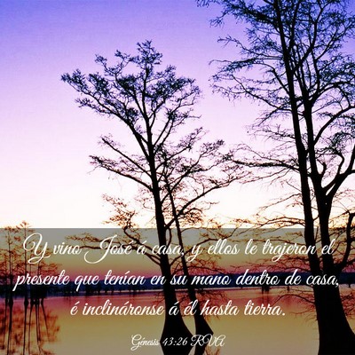 Picture 03 - Génesis 43:26 RVA - Y vino José á casa, y ellos le trajeron el - Bible Verse Picture