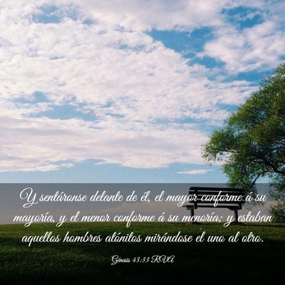 Picture 03 - Génesis 43:33 RVA - Y sentáronse delante de él, el mayor conforme - Bible Verse Picture
