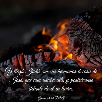 Picture 03 - Génesis 44:14 RVA - Y llegó Judá con sus hermanos á casa de José, - Bible Verse Picture