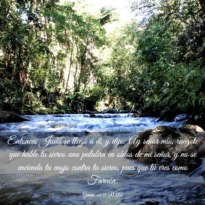 Picture 03 - Génesis 44:18 RVA - Entonces Judá se llegó á él, y dijo: Ay - Bible Verse Picture