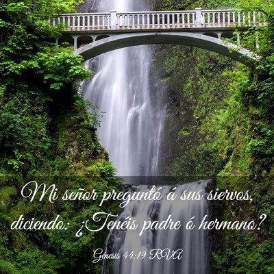 Picture 03 - Génesis 44:19 RVA - Mi señor preguntó á sus siervos, diciendo: - Bible Verse Picture