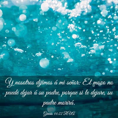 Picture 03 - Génesis 44:22 RVA - Y nosotros dijimos á mi señor: El mozo no puede - Bible Verse Picture