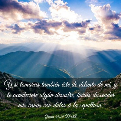 Picture 03 - Génesis 44:29 RVA - Y si tomareis también éste de delante de mí, y - Bible Verse Picture