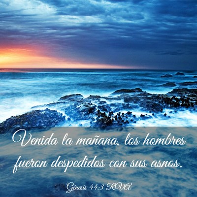 Picture 03 - Génesis 44:3 RVA - Venida la mañana, los hombres fueron despedidos - Bible Verse Picture