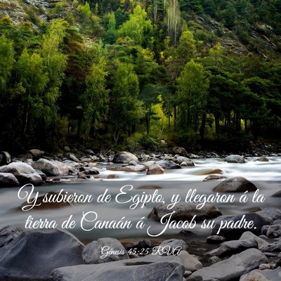 Picture 03 - Génesis 45:25 RVA - Y subieron de Egipto, y llegaron á la tierra de - Bible Verse Picture