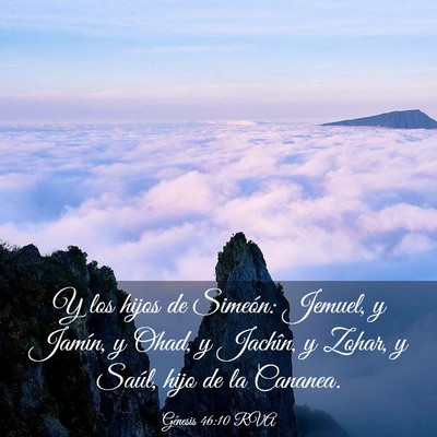 Picture 03 - Génesis 46:10 RVA - Y los hijos de Simeón: Jemuel, y Jamín, y Ohad, - Bible Verse Picture
