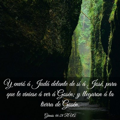 Picture 03 - Génesis 46:28 RVA - Y envió á Judá delante de sí á José, para - Bible Verse Picture