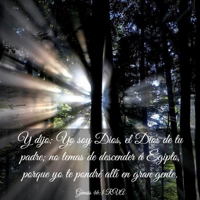 Picture 03 - Génesis 46:3 RVA - Y dijo: Yo soy Dios, el Dios de tu padre; no - Bible Verse Picture