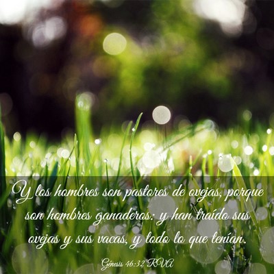 Picture 03 - Génesis 46:32 RVA - Y los hombres son pastores de ovejas, porque son - Bible Verse Picture