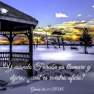 Picture 03 - Génesis 46:33 RVA - Y cuando Faraón os llamare y dijere: ¿cuál es - Bible Verse Picture
