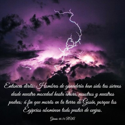 Picture 03 - Génesis 46:34 RVA - Entonces diréis: Hombres de ganadería han sido - Bible Verse Picture