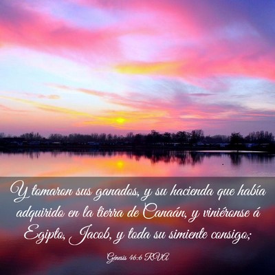 Picture 03 - Génesis 46:6 RVA - Y tomaron sus ganados, y su hacienda que había - Bible Verse Picture