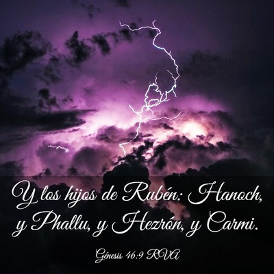 Picture 03 - Génesis 46:9 RVA - Y los hijos de Rubén: Hanoch, y Phallu, y - Bible Verse Picture
