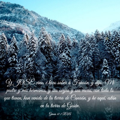 Picture 03 - Génesis 47:1 RVA - Y JOSÉ vino, é hizo saber á Faraón, y dijo: - Bible Verse Picture