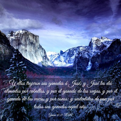 Picture 03 - Génesis 47:17 RVA - Y ellos trajeron sus ganados á José; y José - Bible Verse Picture